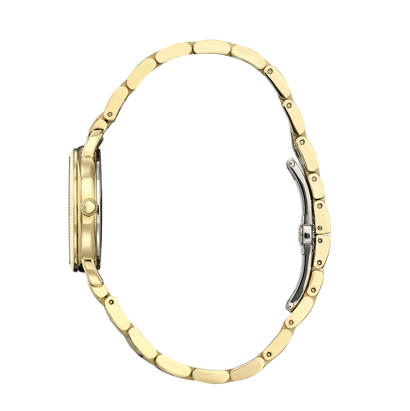 Citizen EM1052-51A Ladies Gold-Tone Watch 2