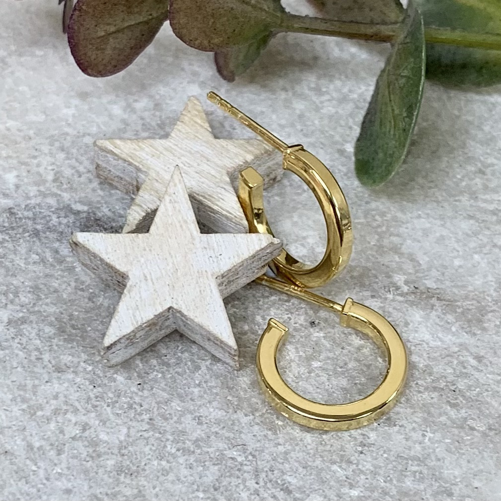 Silver Gold Flat Hoop 2