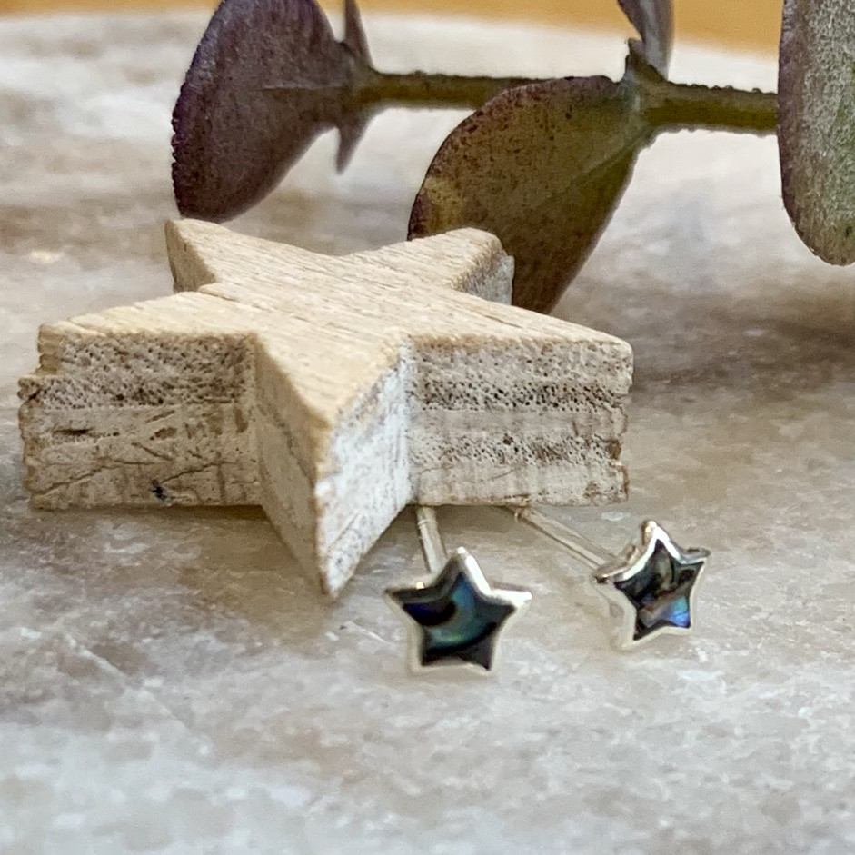 Silver Paua Shell Star Studs 2