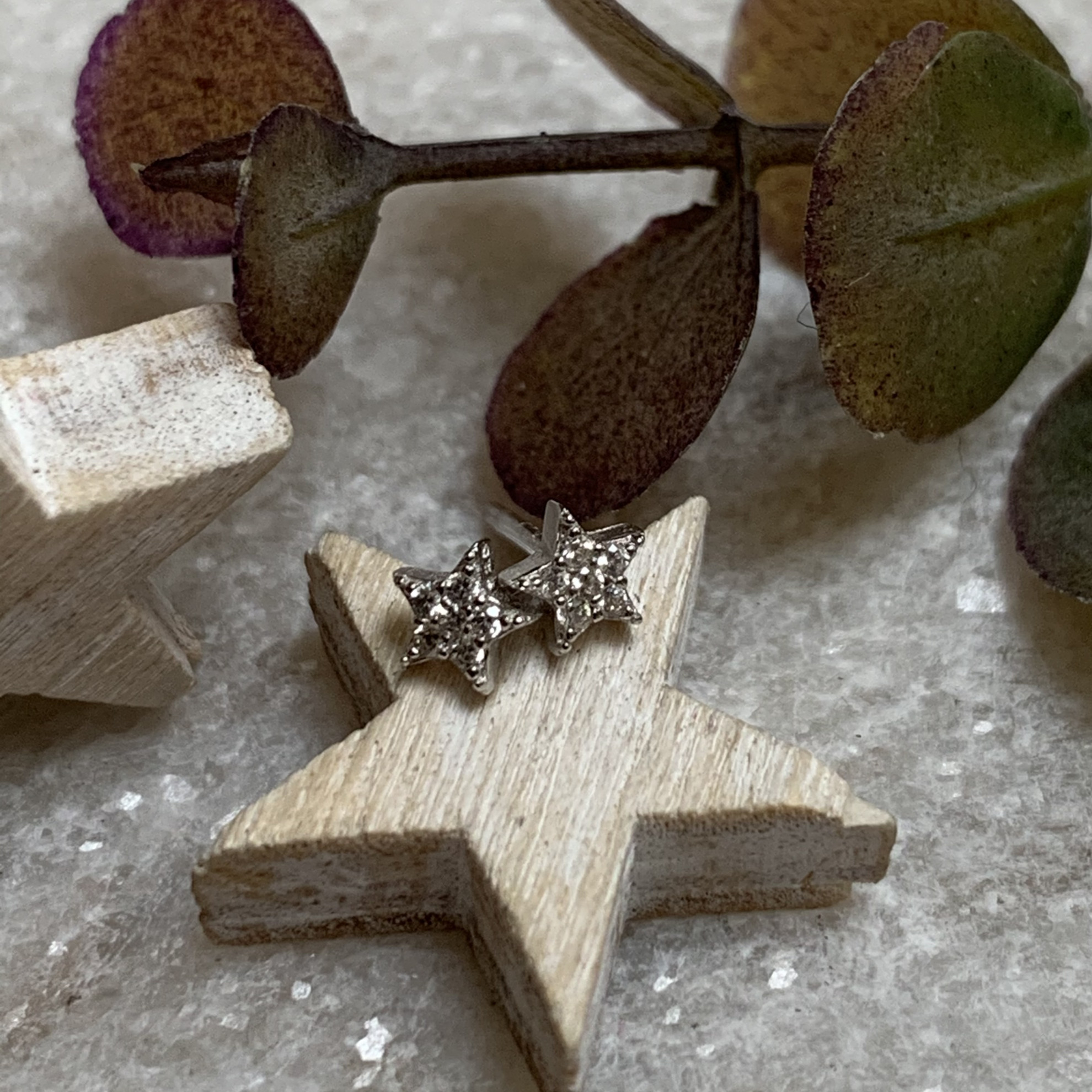 Small Cubic Zirconia Star Stud 2